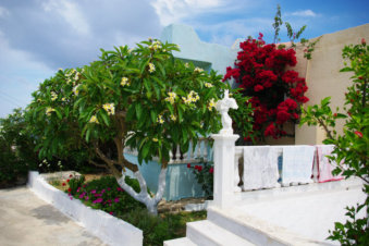 Mooie tuin in Arkasa Karpathos Griekenland