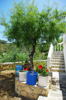 De tuin van de witte kerk in Aperi Karpathos Griekenland